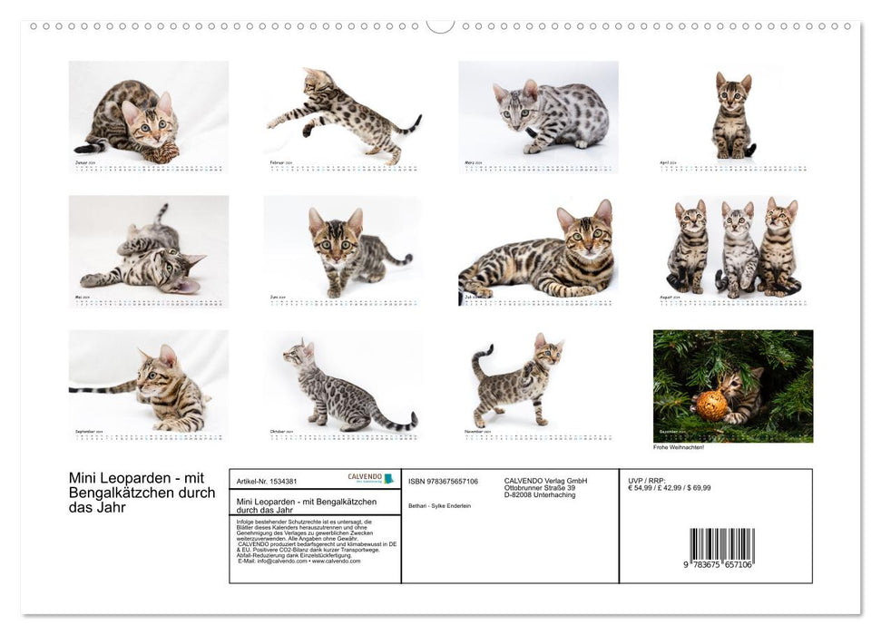 Mini Leoparden - mit Bengalkätzchen durch das Jahr (CALVENDO Wandkalender 2024)