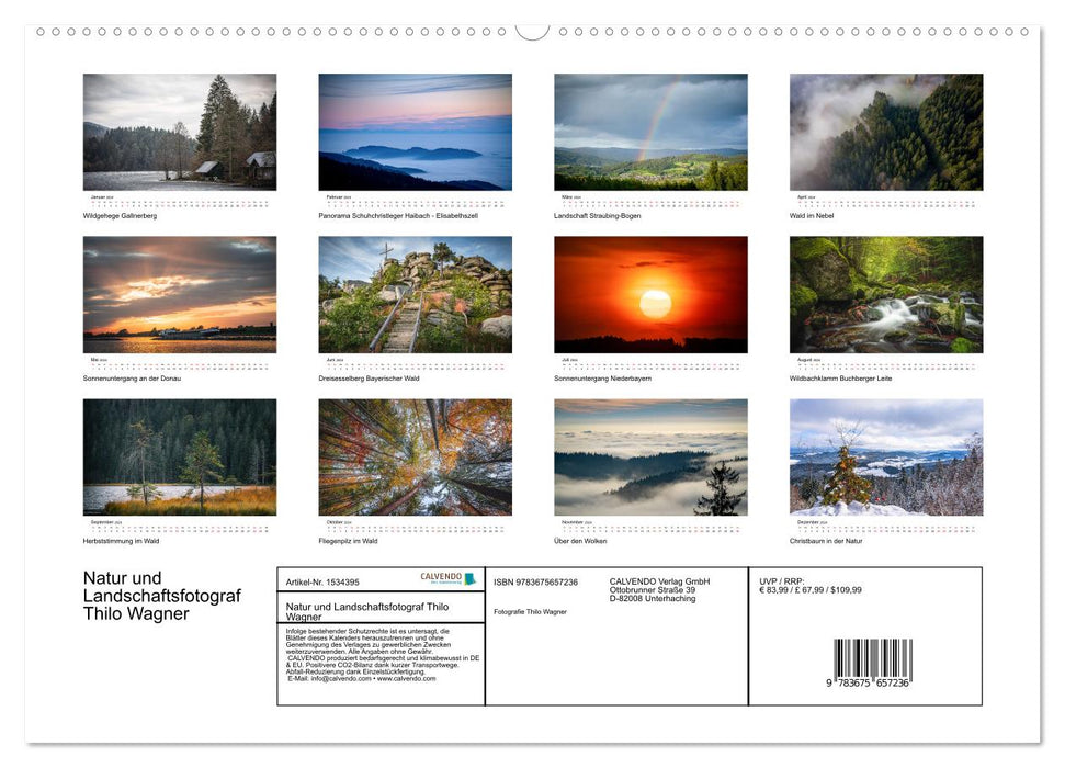 Nature Bavarian Forest (CALVENDO Premium Wall Calendar 2024) 