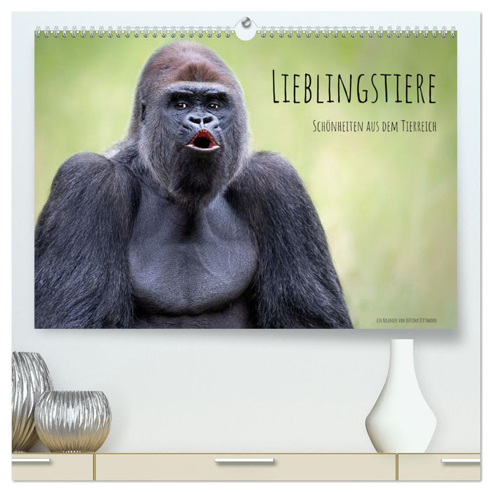 Favorite animals - beauties from the animal kingdom (CALVENDO Premium Wall Calendar 2024) 