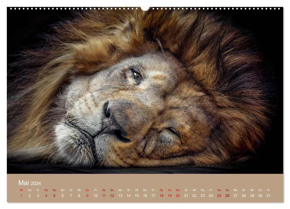 Favorite animals - beauties from the animal kingdom (CALVENDO Premium Wall Calendar 2024) 