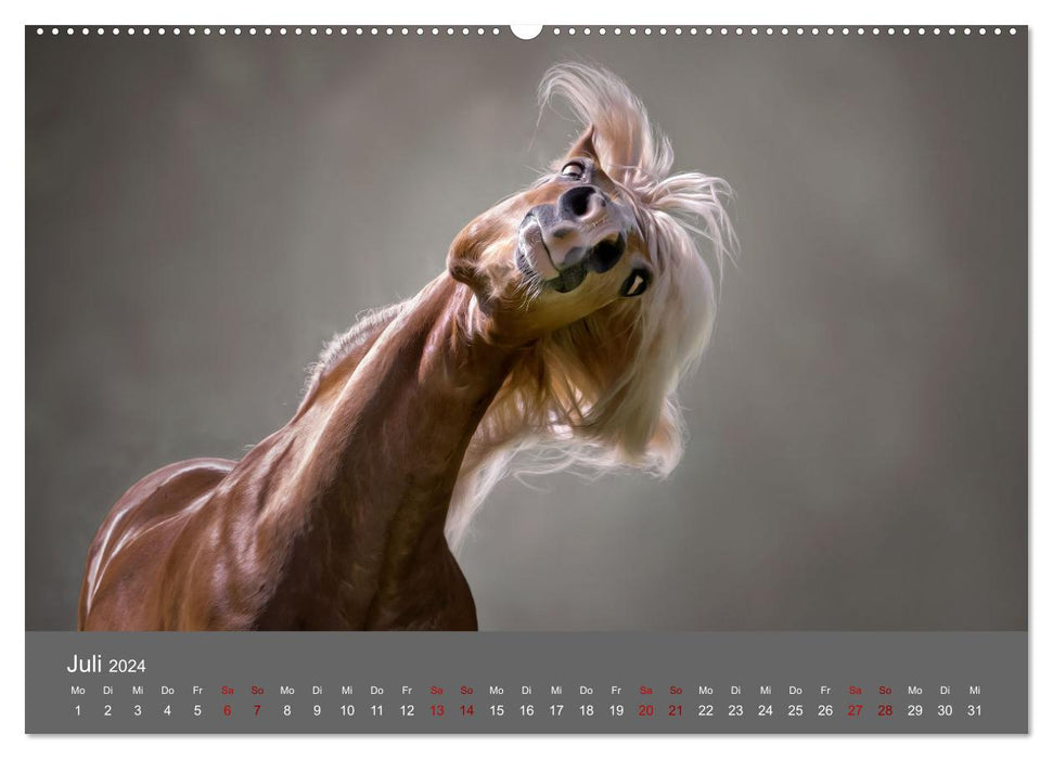 Favorite animals - beauties from the animal kingdom (CALVENDO Premium Wall Calendar 2024) 