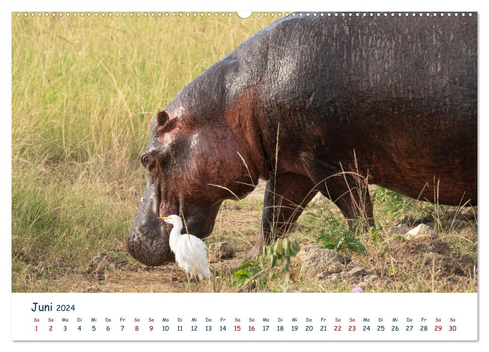 Wanderlust Uganda - natural beauty of East Africa (CALVENDO wall calendar 2024) 