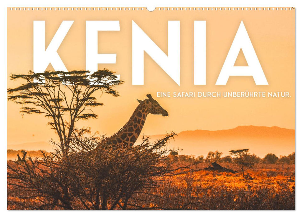 Kenya - A safari through untouched nature. (CALVENDO wall calendar 2024) 