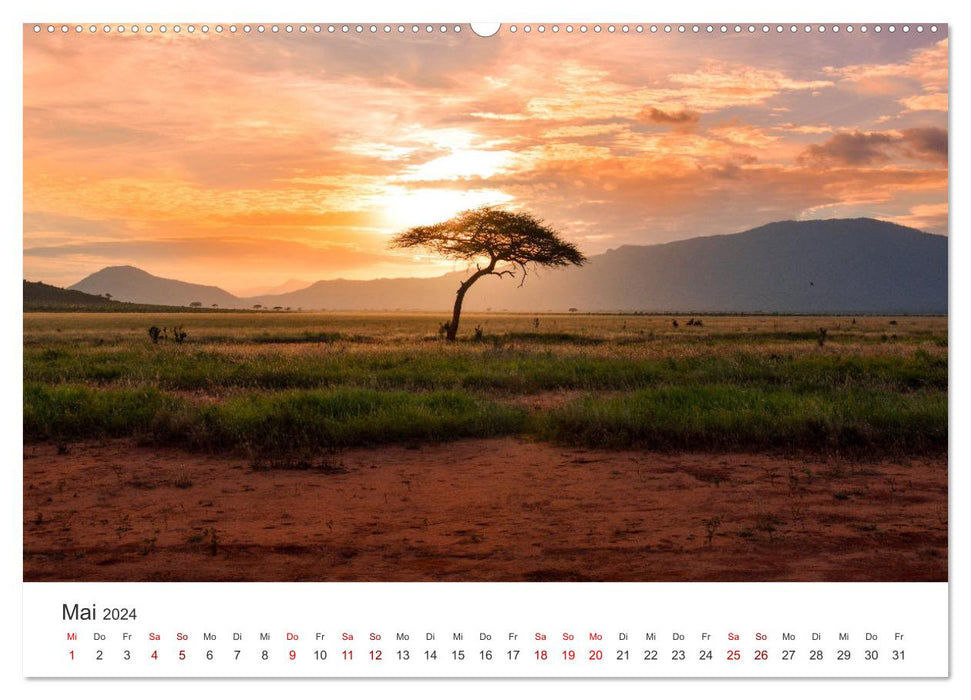 Kenya - A safari through untouched nature. (CALVENDO wall calendar 2024) 