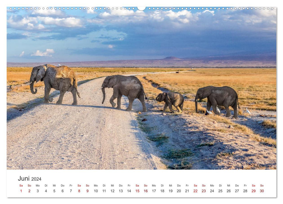 Kenia - Eine Safari durch unberührte Natur. (CALVENDO Wandkalender 2024)