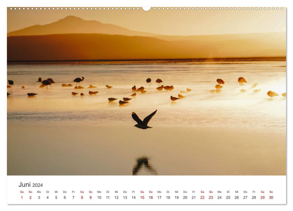 Golden hours - moments in beautiful sunlight. (CALVENDO wall calendar 2024) 