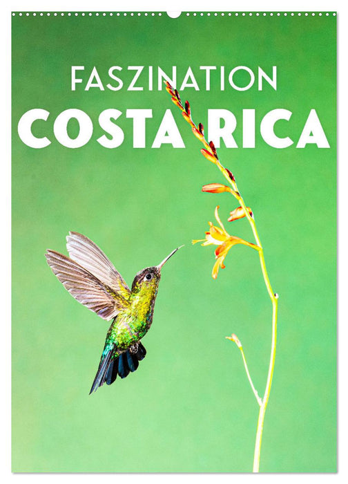 Fascination Costa Rica (Calendrier mural CALVENDO 2024) 