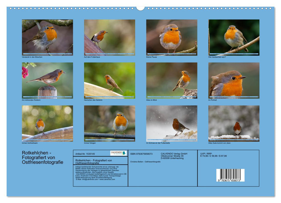 Rotkehlchen - Fotografiert von Ostfriesenfotografie (CALVENDO Premium Wandkalender 2024)