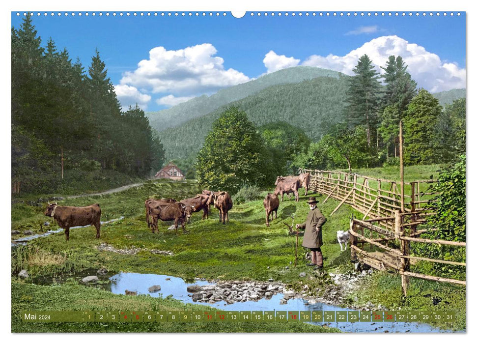 The western Harz during the imperial period - photos newly restored (CALVENDO Premium Wall Calendar 2024) 