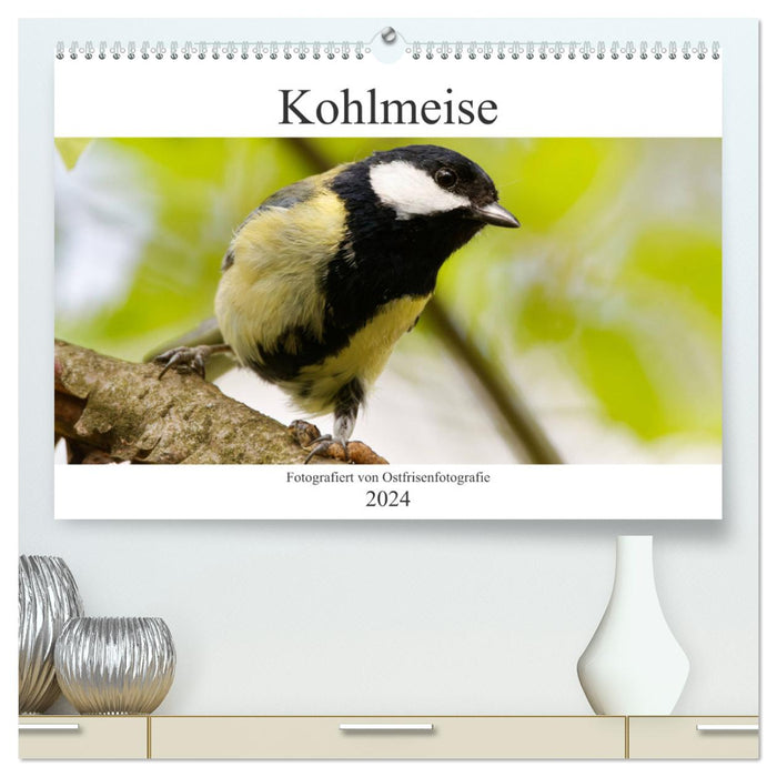 Great Tit - Photographed by Ostfriesenfotografie (CALVENDO Premium Wall Calendar 2024) 