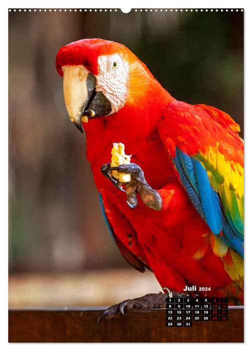 Peru - Culture - People - Nature (CALVENDO Premium Wall Calendar 2024) 