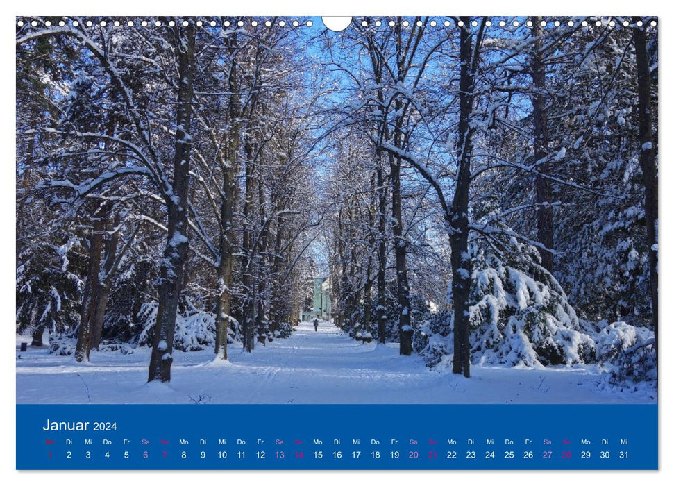 Limbach-Oberfrohna - der schöne Stadtpark im Wandel der Jahreszeiten (CALVENDO Wandkalender 2024)