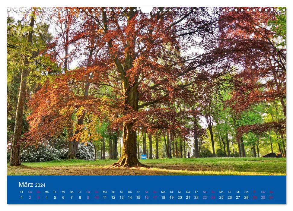 Limbach-Oberfrohna - the beautiful city park through the seasons (CALVENDO wall calendar 2024) 