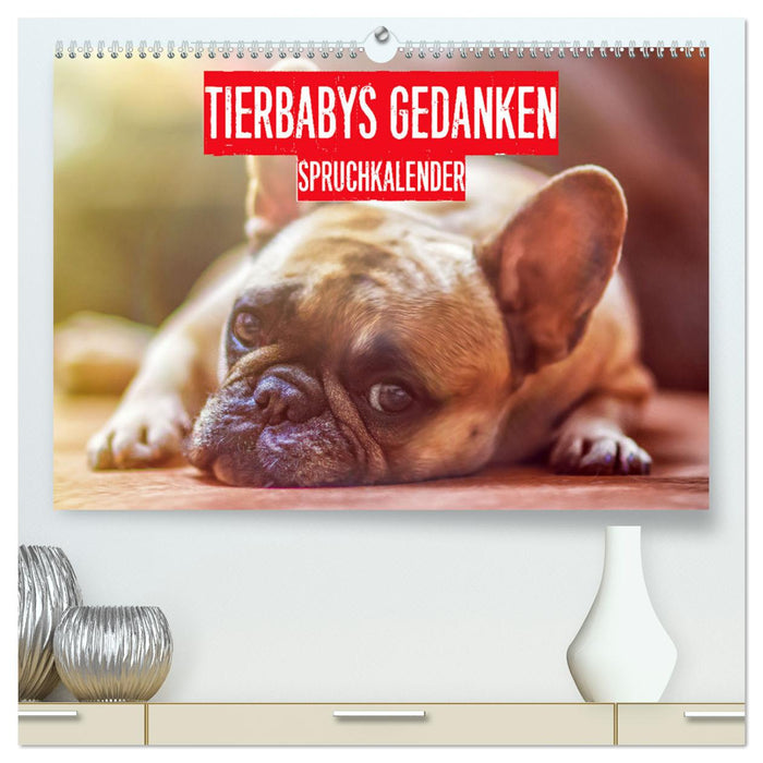 Tierbabys Gedanken - Spruchkalender (CALVENDO Premium Wandkalender 2024)