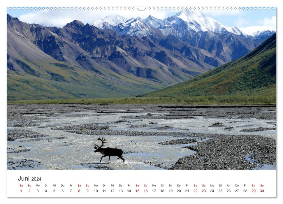 Alaska - insights into the northern country. (CALVENDO wall calendar 2024) 