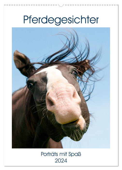Horse faces - portraits with fun (CALVENDO wall calendar 2024) 
