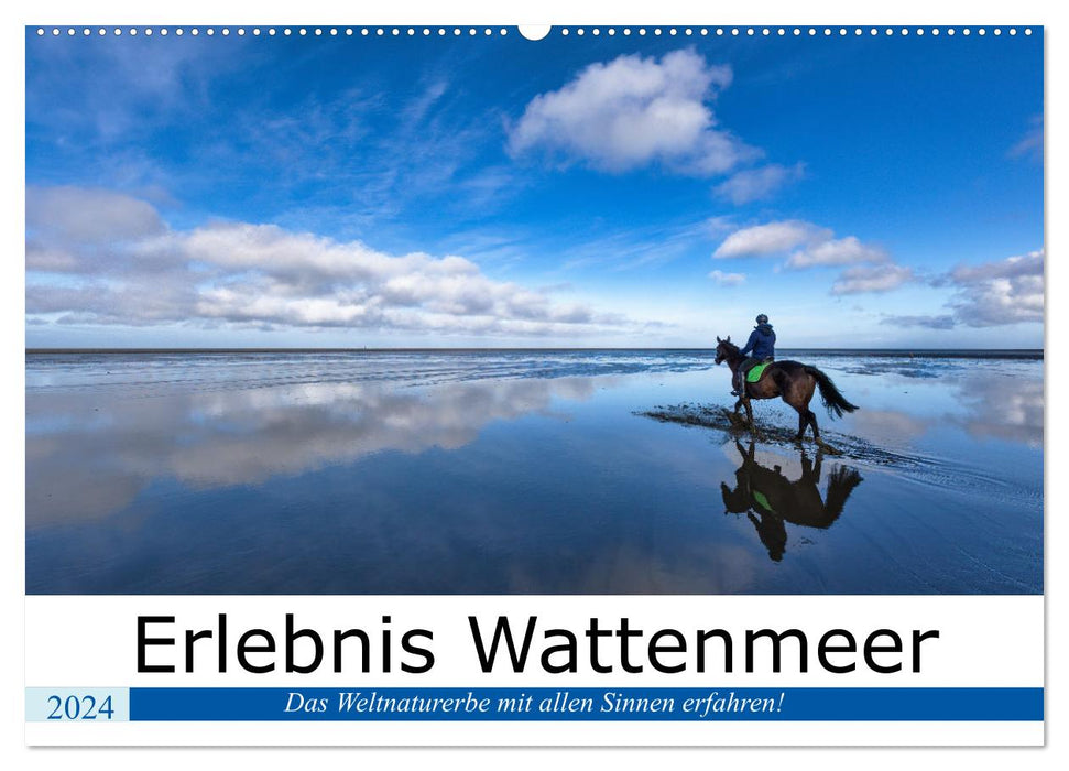Experience Wadden Sea (CALVENDO wall calendar 2024) 