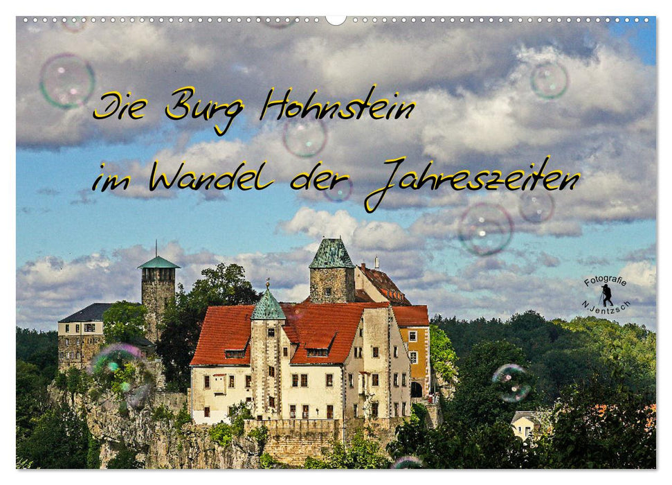 Die Burg Hohnstein im Wandel der Jahreszeiten (CALVENDO Wandkalender 2024)