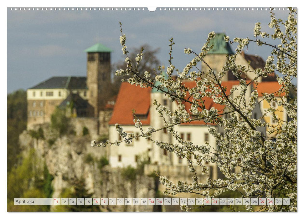 Die Burg Hohnstein im Wandel der Jahreszeiten (CALVENDO Wandkalender 2024)