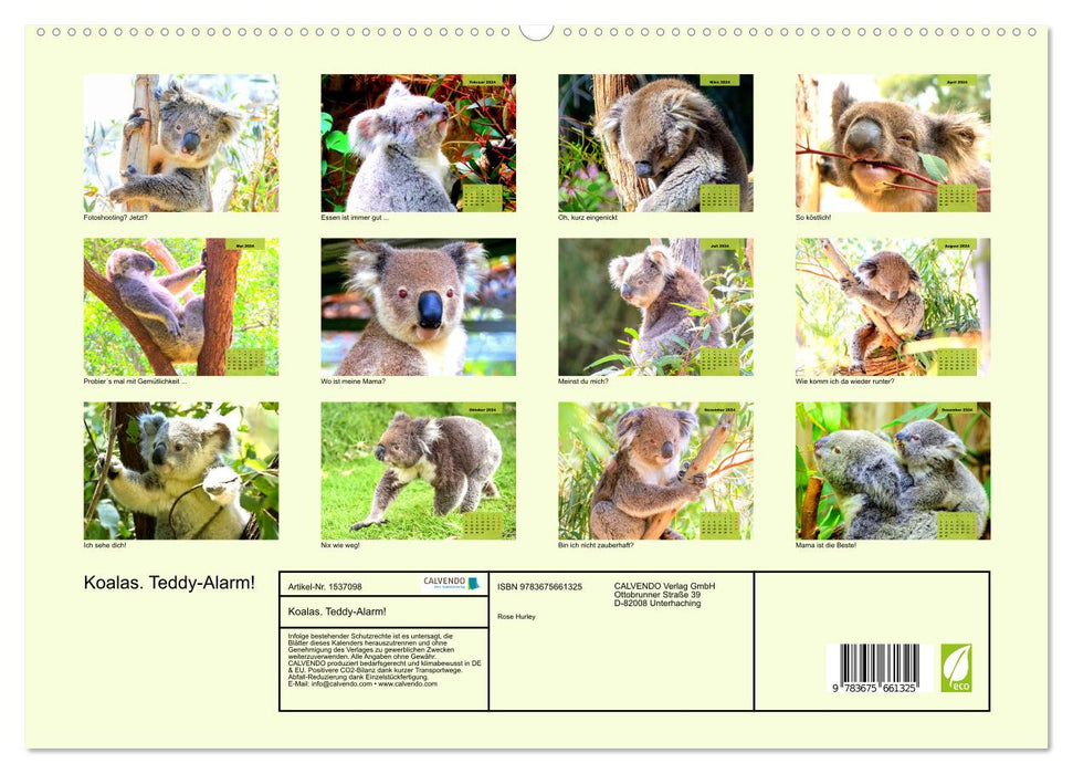 Koalas. Teddy-Alarm! (CALVENDO Premium Wandkalender 2024)