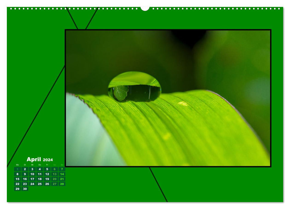 Heilende Farbe Grün (CALVENDO Premium Wandkalender 2024)