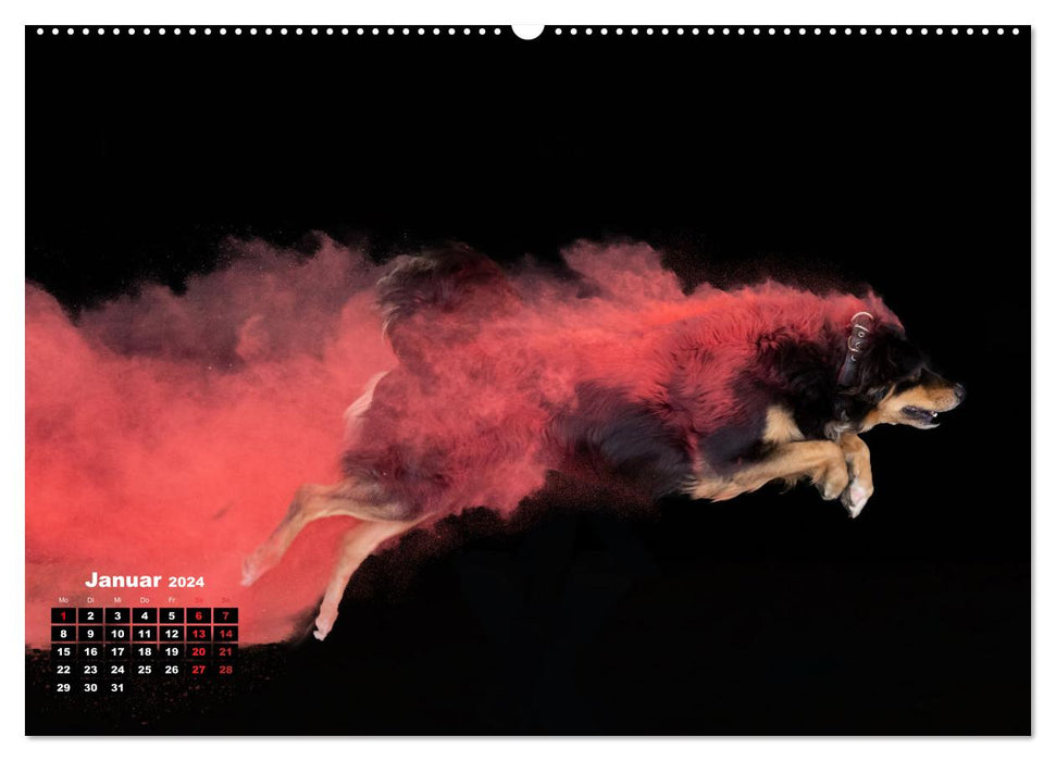 Holi Action (CALVENDO Premium Wandkalender 2024)