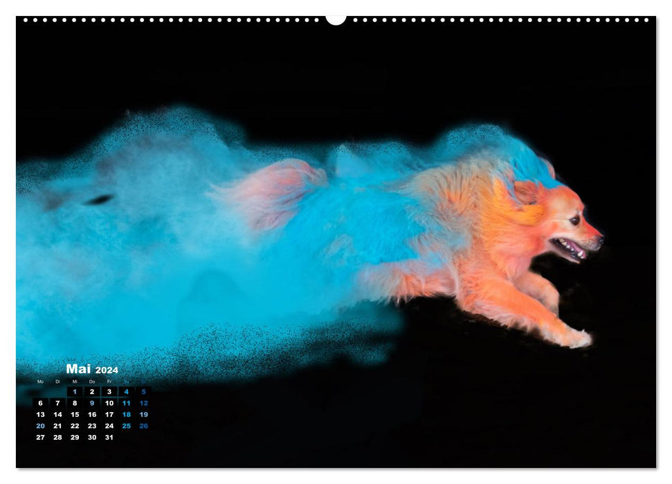 Holi Action (CALVENDO Premium Wandkalender 2024)