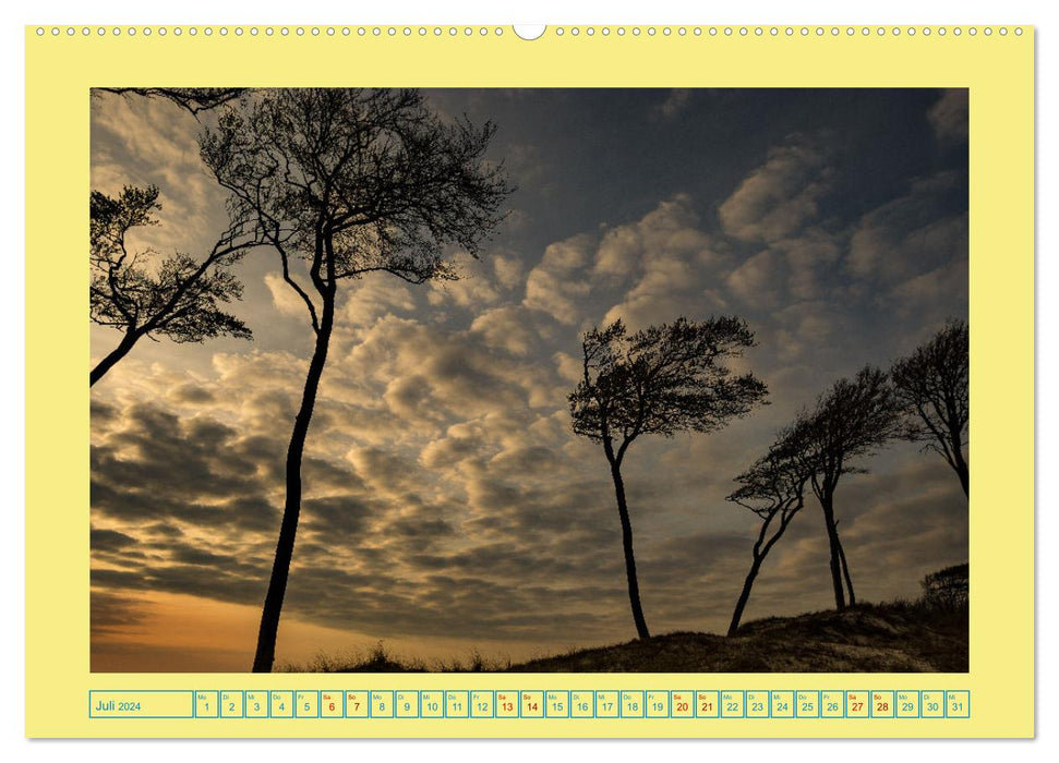 Landschaften auf Fischland-Darß-Zingst (CALVENDO Premium Wandkalender 2024)
