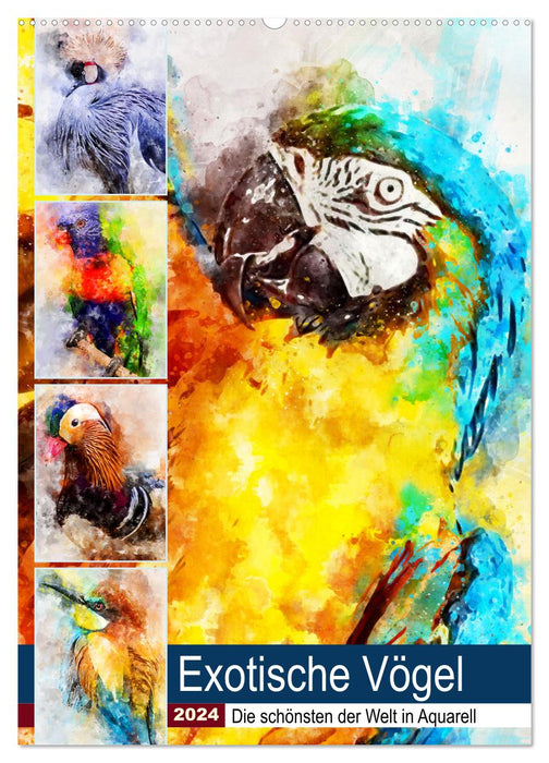 Exotische Vögel - Die Schönsten der Welt in Aquarell (CALVENDO Wandkalender 2024)
