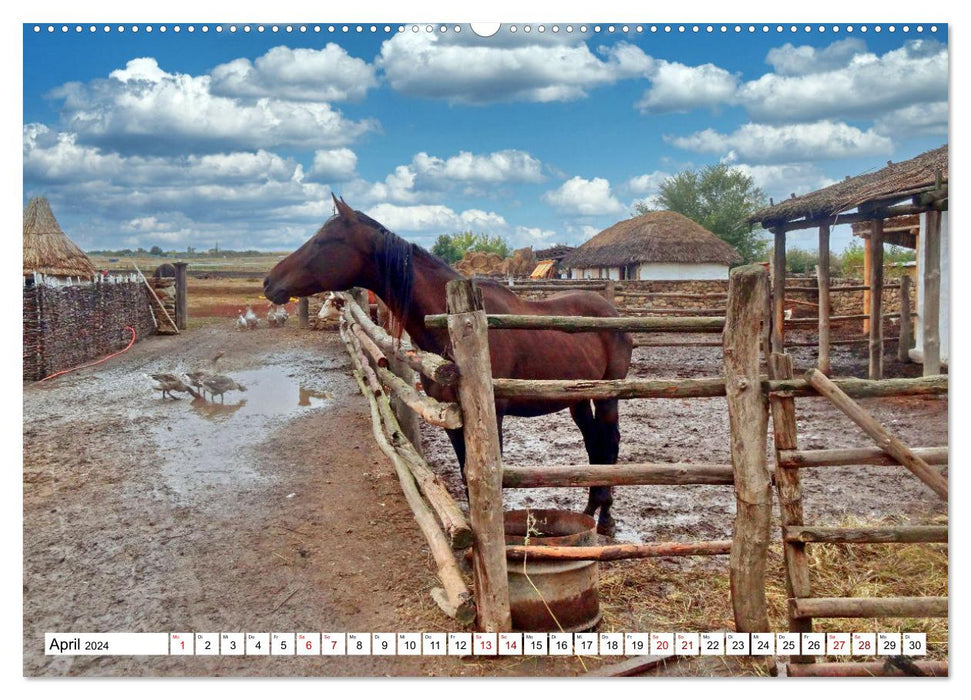 Idyll on the Don - A historic Cossack homestead (CALVENDO wall calendar 2024) 