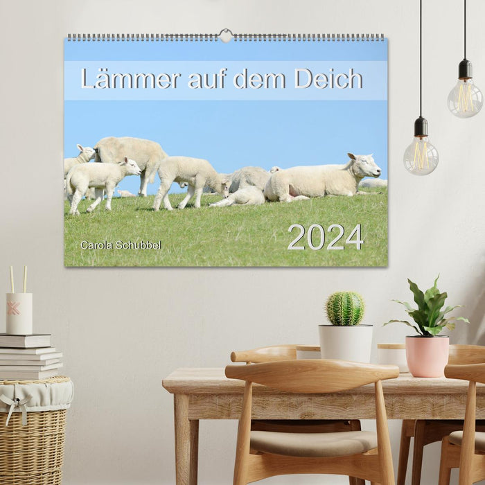 Lambs on the dike (CALVENDO wall calendar 2024) 