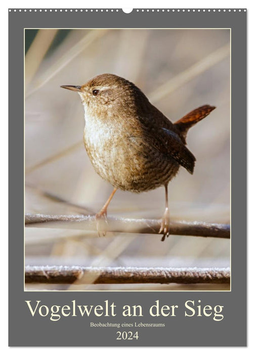 Vogelwelt an der Sieg (CALVENDO Wandkalender 2024)