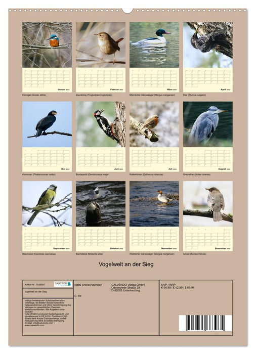 Bird world on the Sieg (CALVENDO wall calendar 2024) 