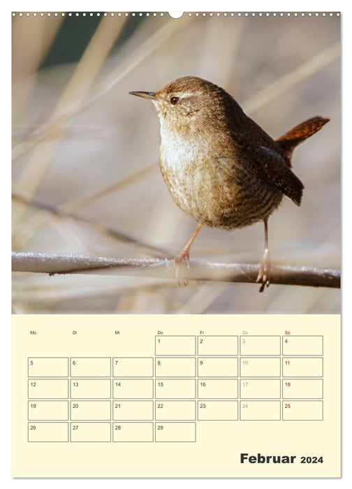 Vogelwelt an der Sieg (CALVENDO Wandkalender 2024)