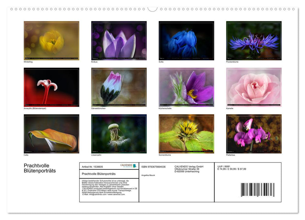 Magnificent flower portraits (CALVENDO Premium Wall Calendar 2024) 