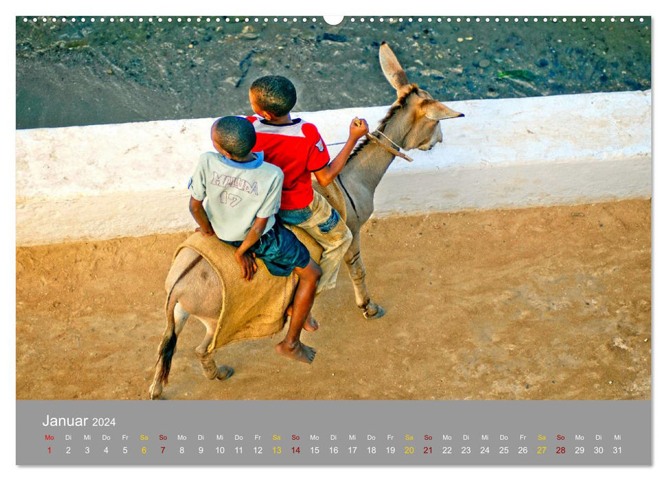 Lamu - insider tip in Kenya (CALVENDO wall calendar 2024) 