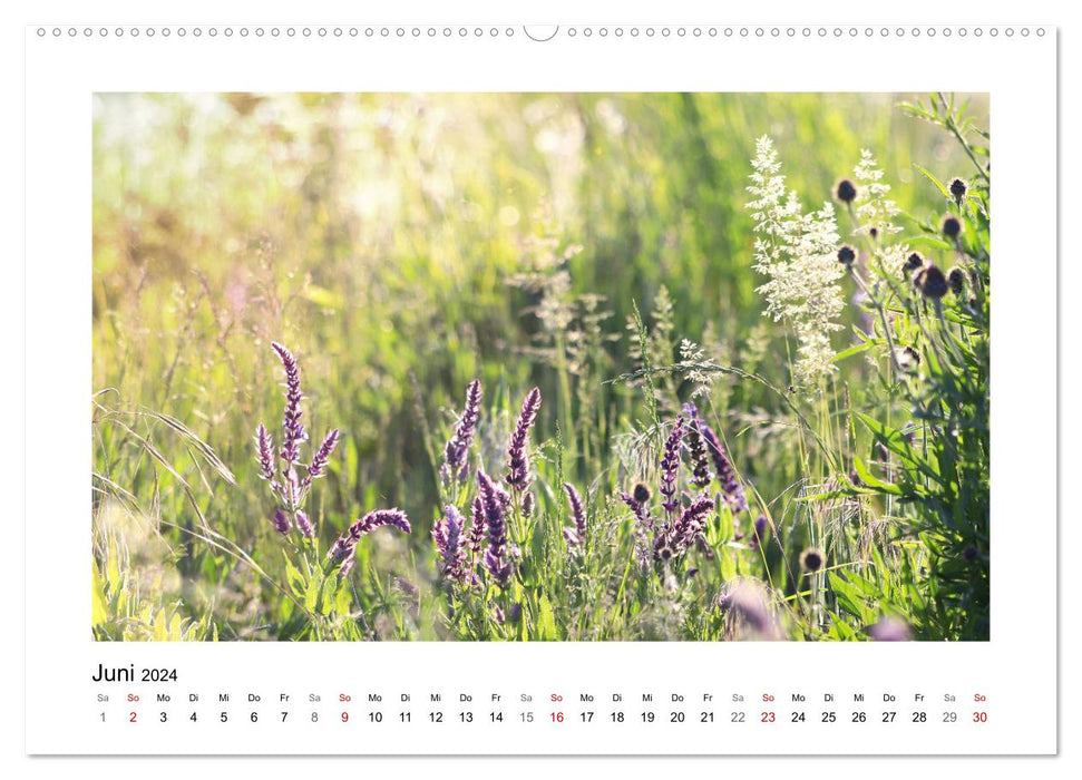 Mein Sehnsuchtsort, die Blumenwiese (CALVENDO Premium Wandkalender 2024)