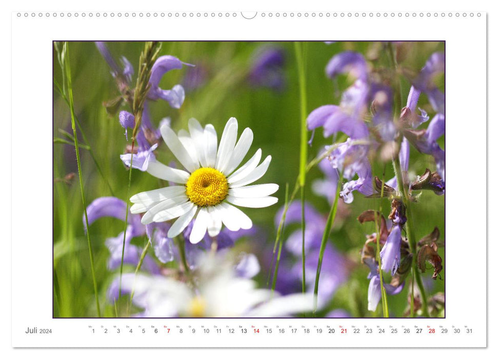 Sanfte Natur (CALVENDO Premium Wandkalender 2024)