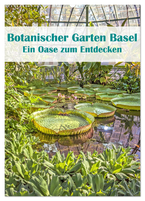 Botanischer Garten Basel - Eine Oase zum Entdecken (CALVENDO Wandkalender 2024)