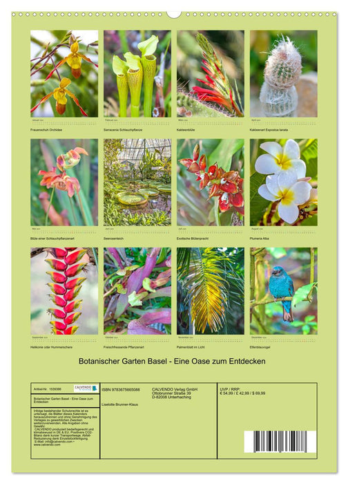 Botanischer Garten Basel - Eine Oase zum Entdecken (CALVENDO Wandkalender 2024)