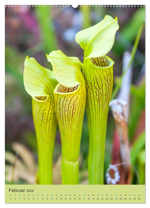 Botanischer Garten Basel - Eine Oase zum Entdecken (CALVENDO Wandkalender 2024)