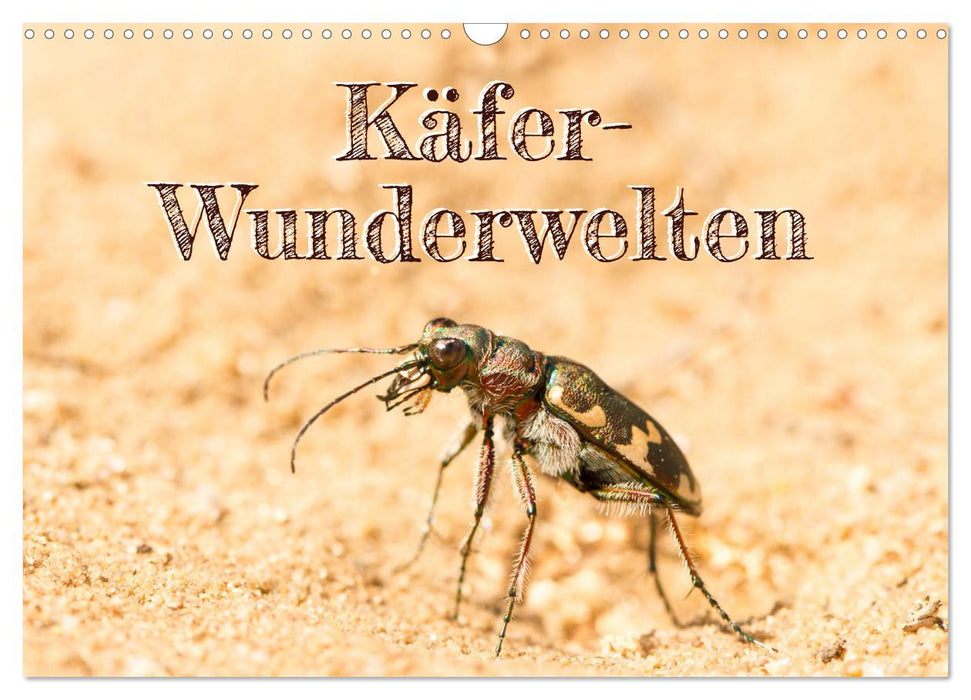 Käfer-Wunderwelten (CALVENDO Wandkalender 2024)