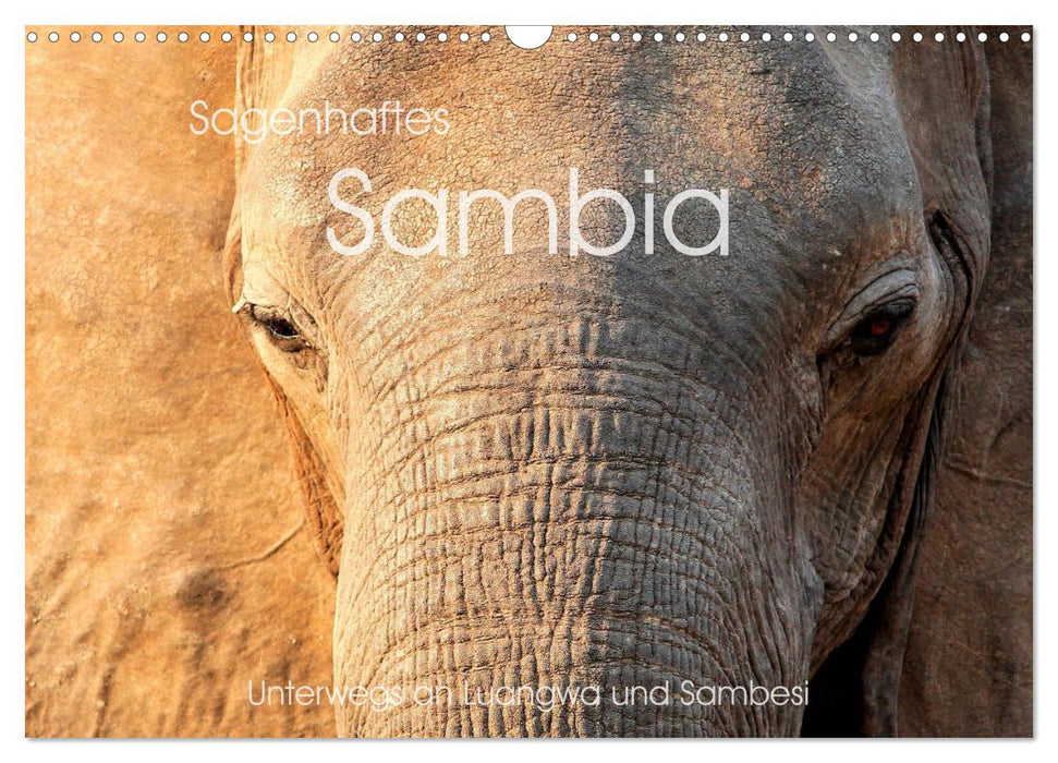 Sagenhaftes Sambia - Unterwegs an Luangwa und Sambesi (CALVENDO Wandkalender 2024)