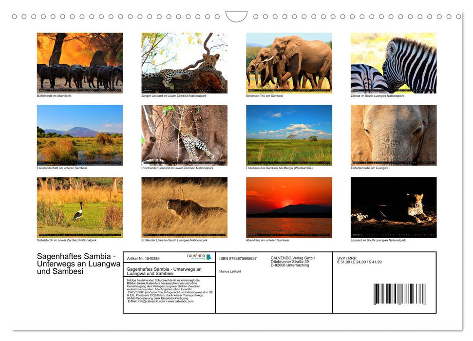 Sagenhaftes Sambia - Unterwegs an Luangwa und Sambesi (CALVENDO Wandkalender 2024)