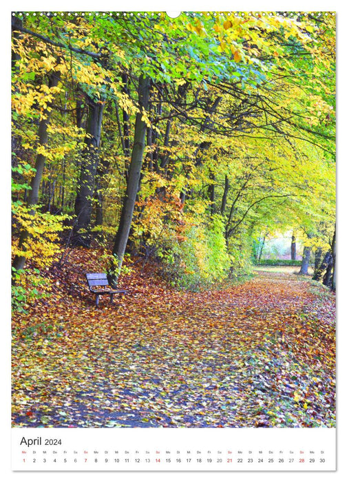 Faszination der Farben im Naturpark Lappwald (CALVENDO Wandkalender 2024)