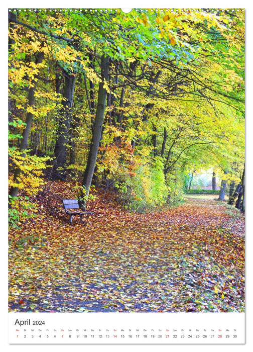 Fascination of colors in the Lappwald Nature Park (CALVENDO wall calendar 2024) 