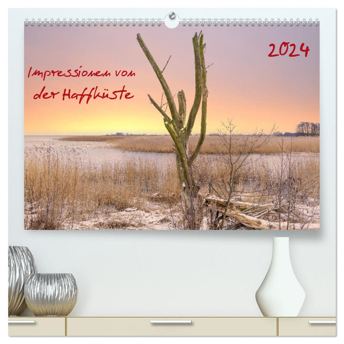 Impressionen von der Haffküste (CALVENDO Premium Wandkalender 2024)