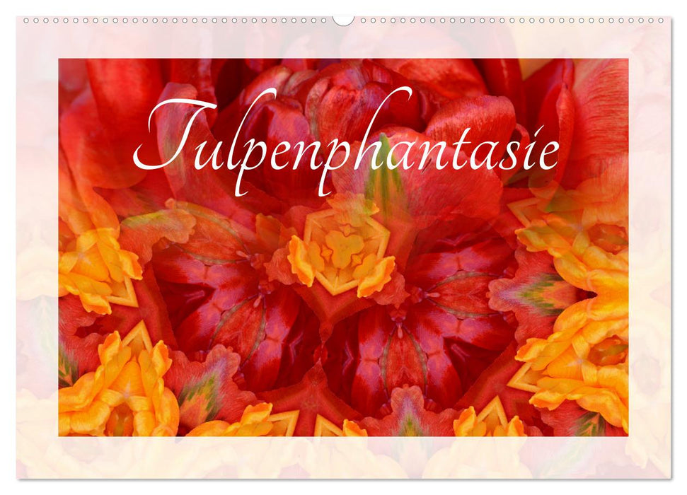 Tulpenphantasie (CALVENDO Wandkalender 2024)