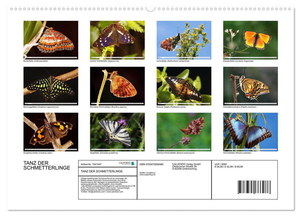 TANZ DER SCHMETTERLINGE (CALVENDO Wandkalender 2024)