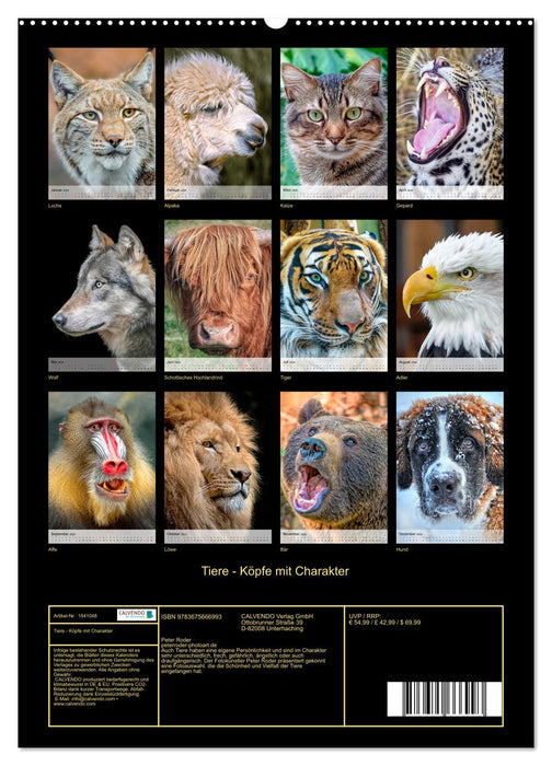 Tiere - Köpfe mit Charakter (CALVENDO Wandkalender 2024)